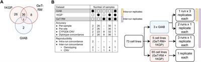 Development and validation of a pharmacogenomics reporting workflow based on the illumina global screening array chip